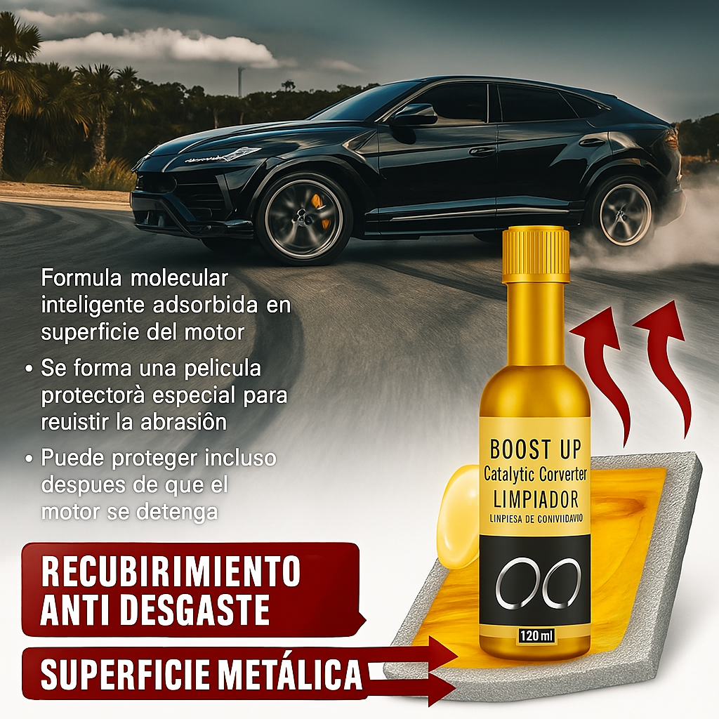 LIMPIADOR CONVERTIDOR CATALITICO
