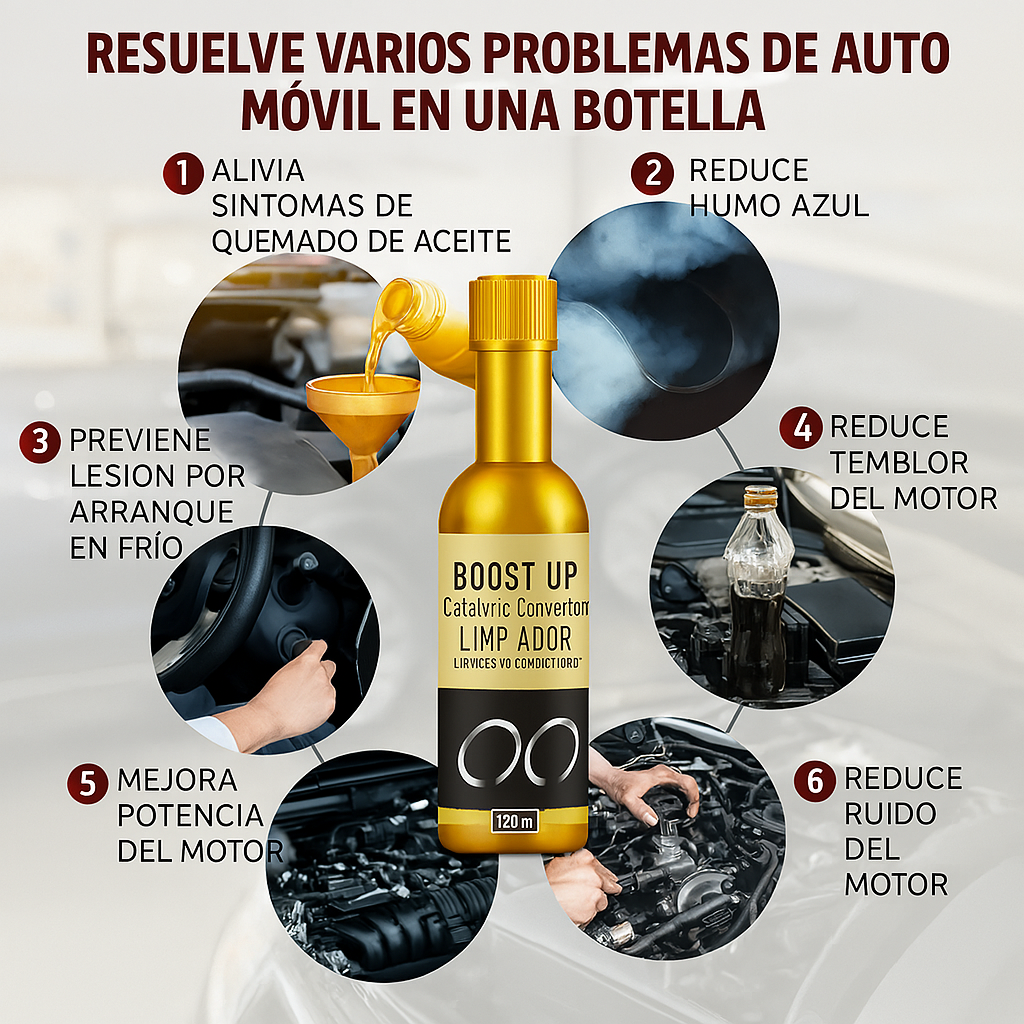 LIMPIADOR CONVERTIDOR CATALITICO