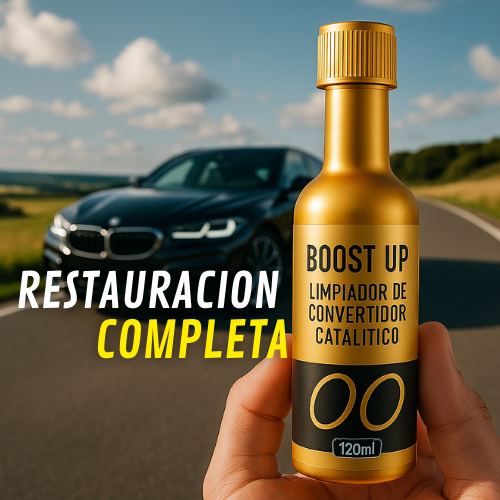 LIMPIADOR CONVERTIDOR CATALITICO